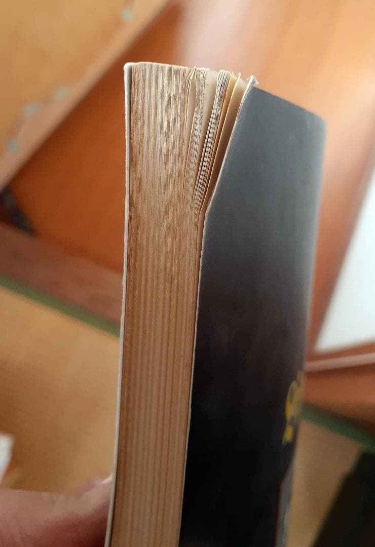 Lionsheart 　ライオンズハート　バンドスコア　希少♪