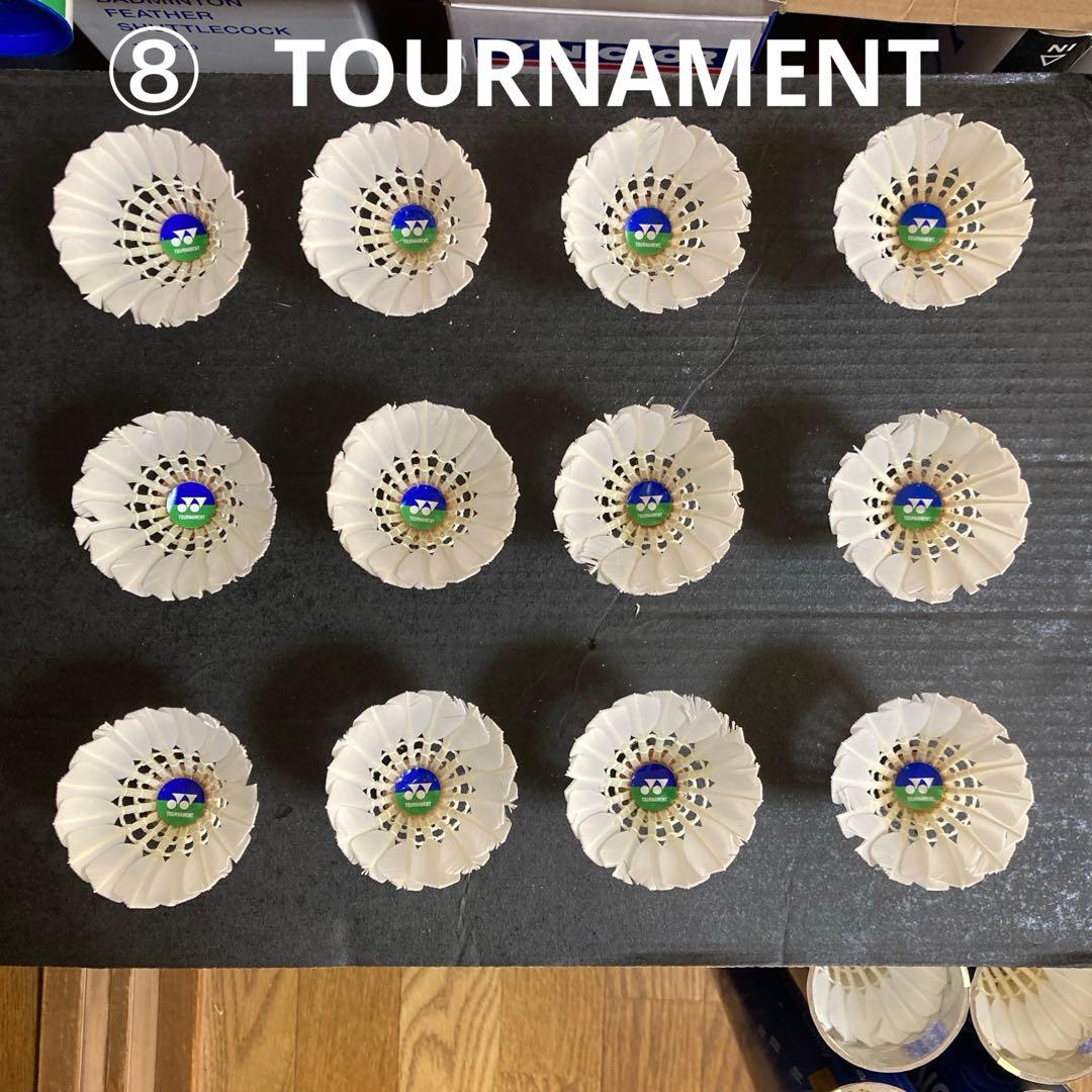 ゆうみさん確認用