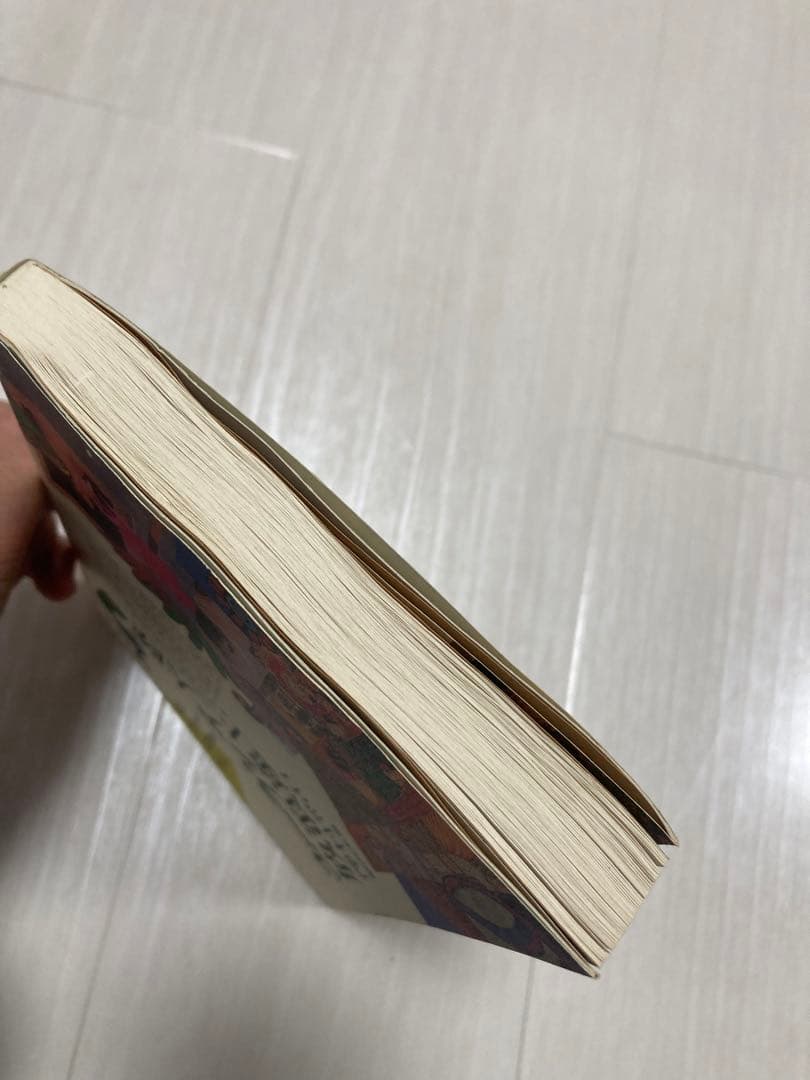 ユーラシア大陸放浪途上 (旅行ガイドにないアジアを歩く) 澤村浩行 梨の木舎