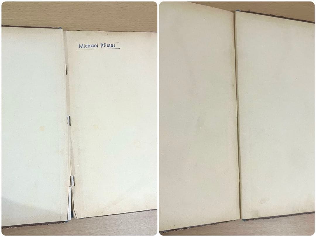 NO.315希少 古書 アンティーク 洋書 ドイツ絵本 児童書