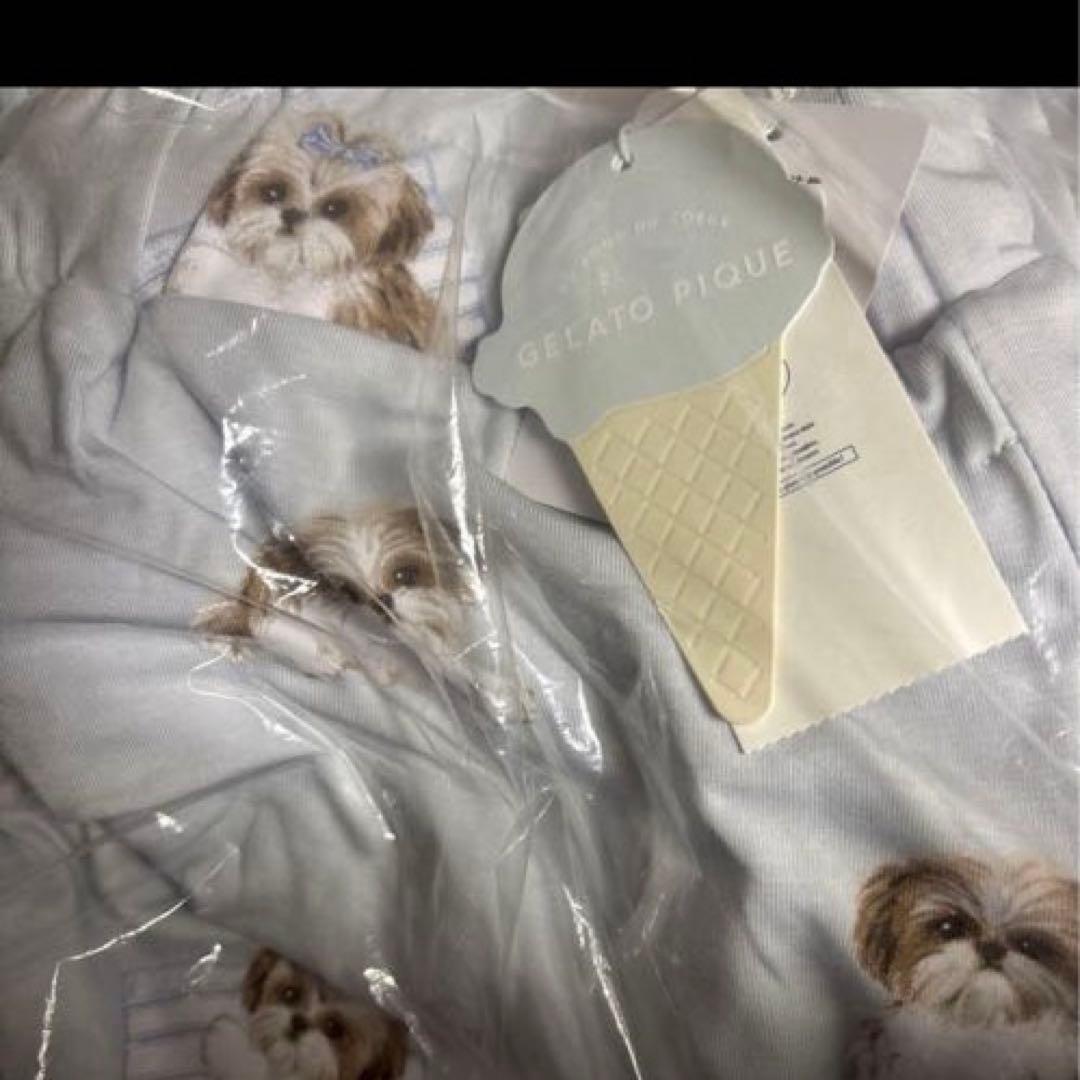 ジェラートピケ シーズー柄ロングパンツ ブルー ラスト1