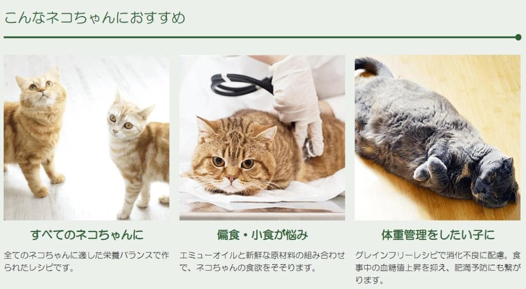 ネイチャーズテイスト 　グレインフリー 　マッカレル＆サーモン For Cats