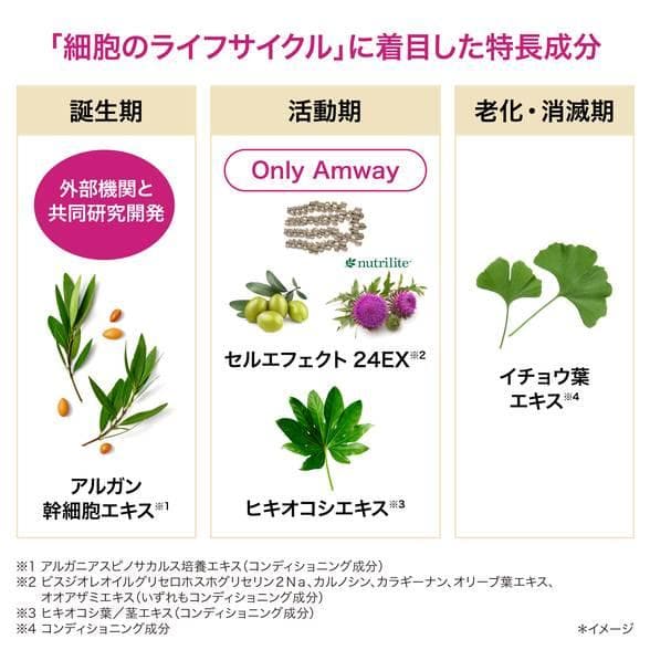 【アムウェイ】 ロンジェビティ　クリーム本体（おまけつき）【未使用品】