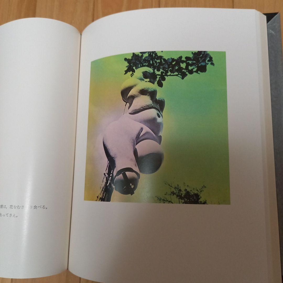 ハンスベルメール　イマージュの解剖学➕四谷シモンとエコールドシモンご署名入り図録