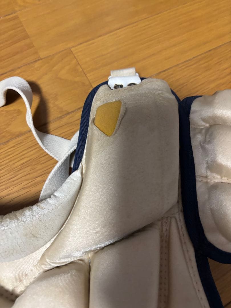 軟式 キャッチャー防具 ミズノ