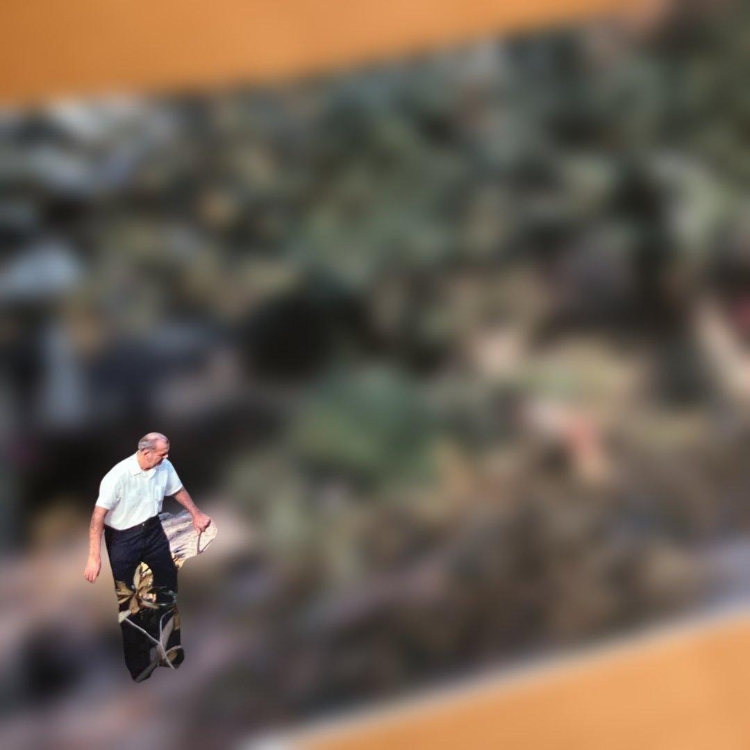 Mitch Epstein 写真集