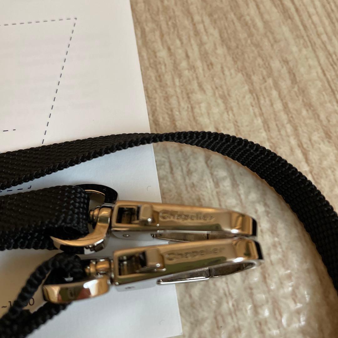 エルベシャプリエ　1659z