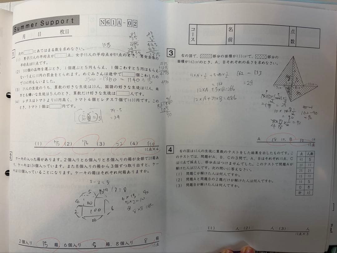 SAPIX 6年生　2025年(最新)夏期講習テキスト　全18回