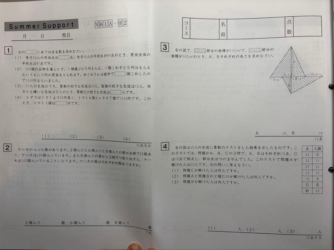 SAPIX 6年生　2025年(最新)夏期講習テキスト　全18回
