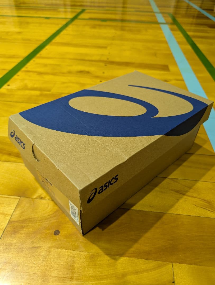 asics バドミントンシューズ COURT CONTROL FF 3 25.0