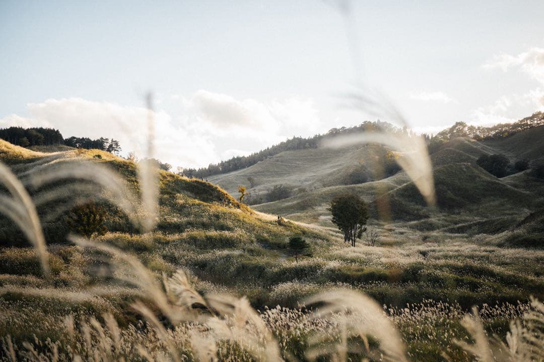 VILTROX AF 20mm F2.8 フィルター付き　単焦点