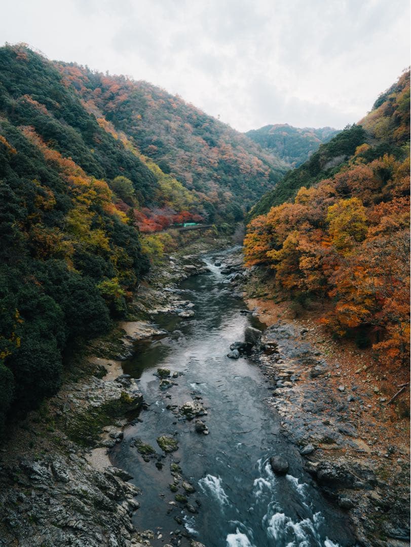 VILTROX AF 20mm F2.8 フィルター付き　単焦点