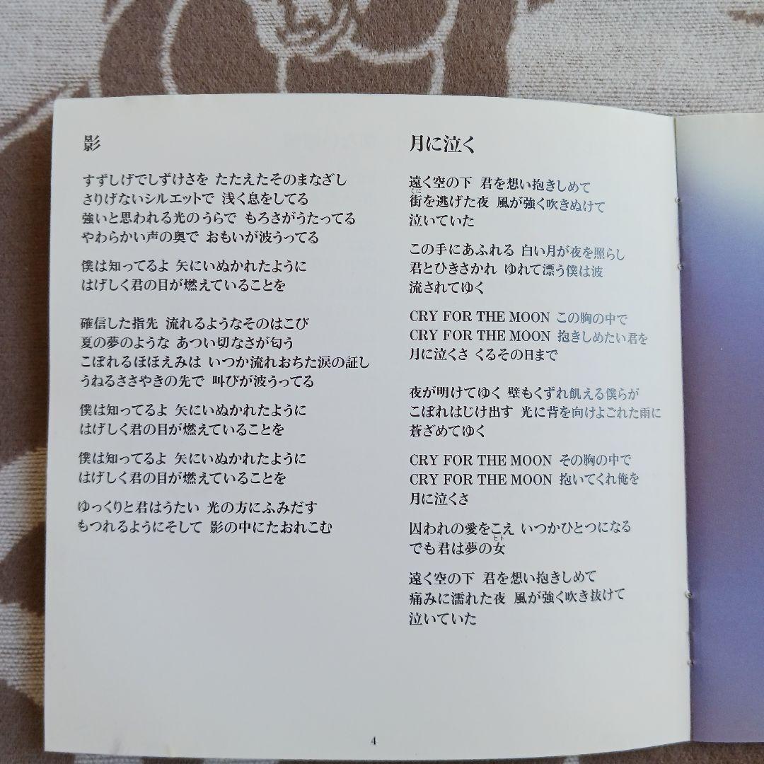 直筆サイン入りKAI FIVE 嵐の明日プレミアムCD