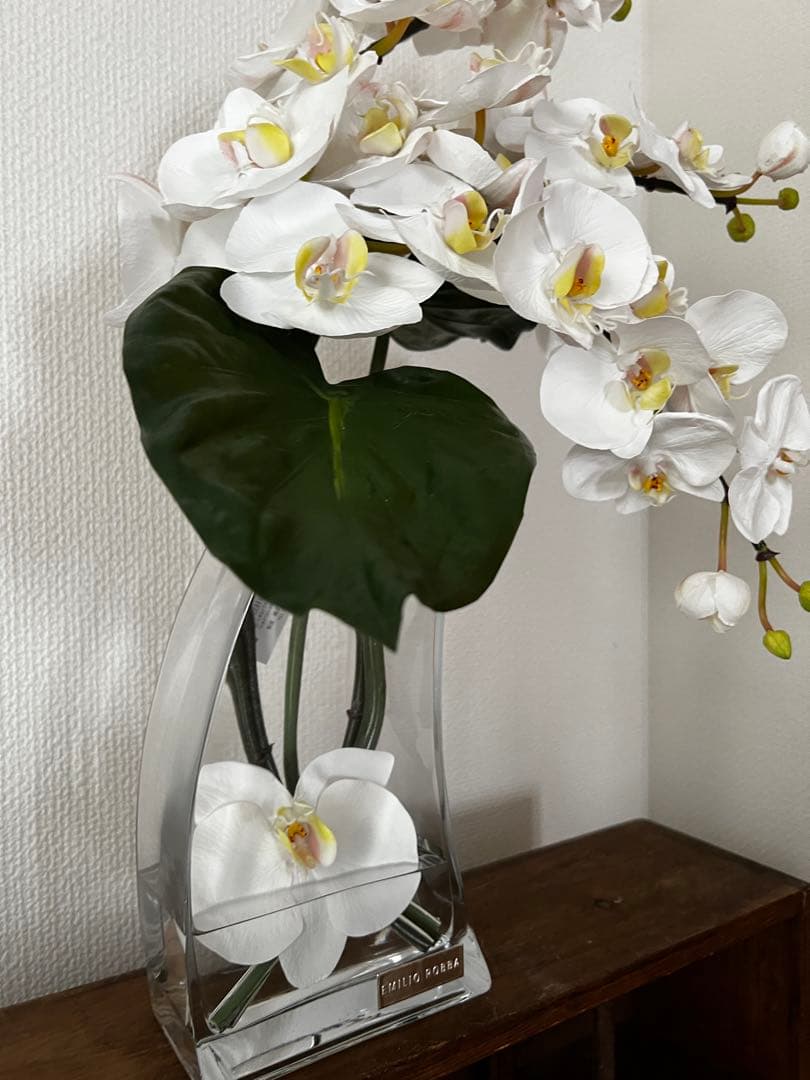 エミリオロバ（EMILIOROBBA）　エミリオロバ