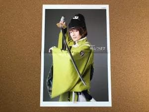 【お得なセット】刀剣男士 掲載28ページ分（ポスターサイズ）