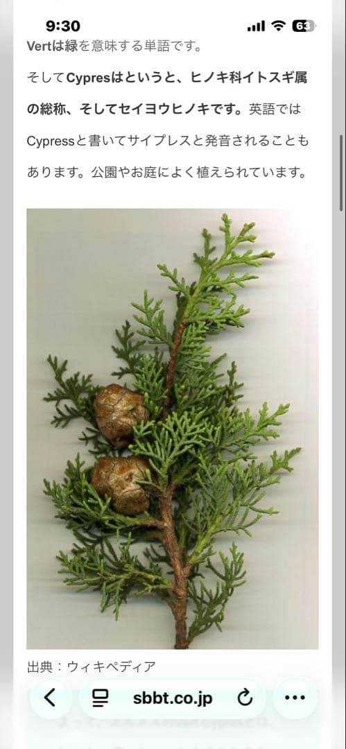 けい様 HERMES ミニポップH ネックレス ヴェール・シプレス　ゴールド