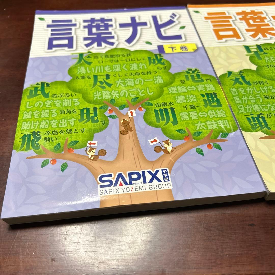 16-18や　重要教材　サピックス　SAPIX 言葉ナビ 上巻・下巻セット