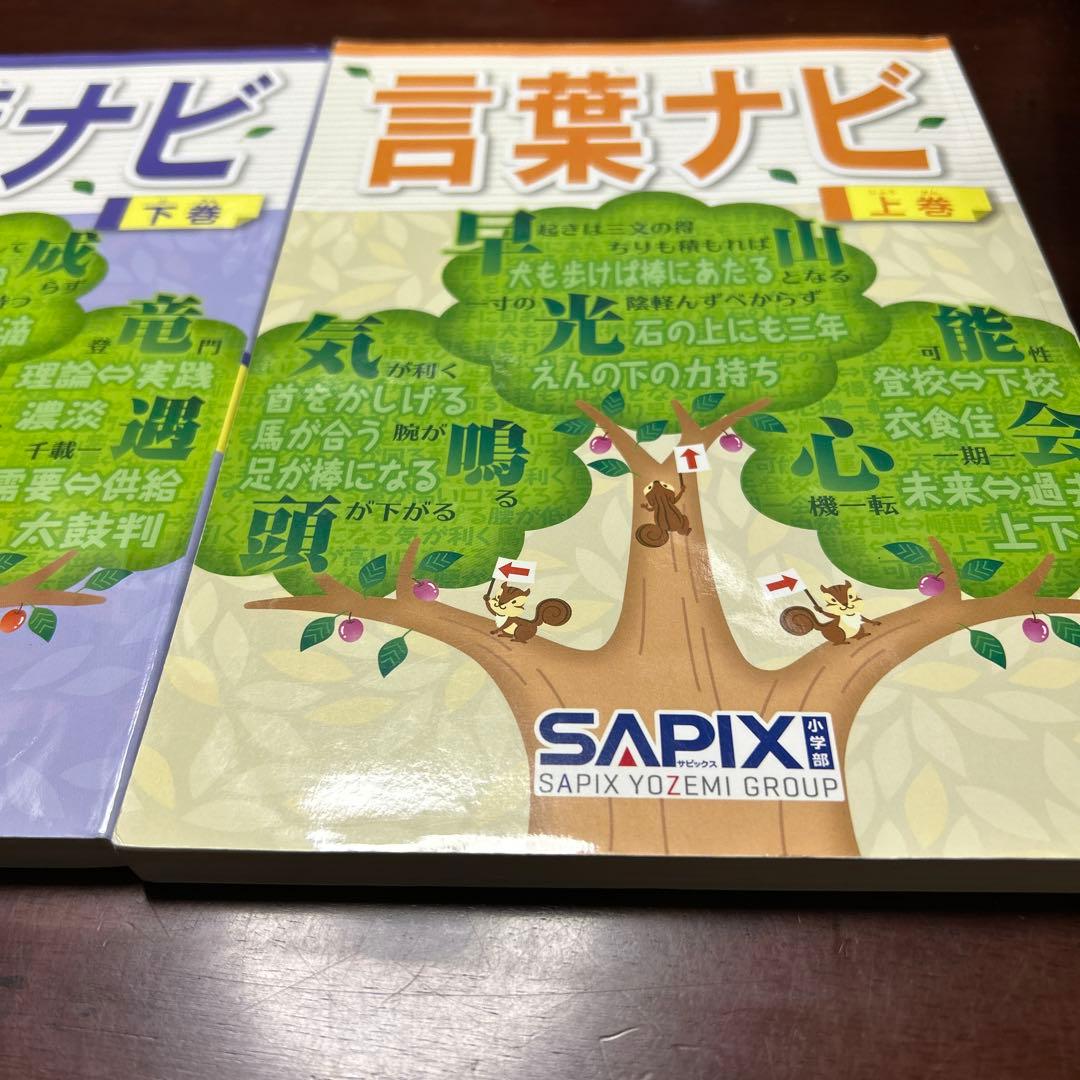 16-18や　重要教材　サピックス　SAPIX 言葉ナビ 上巻・下巻セット