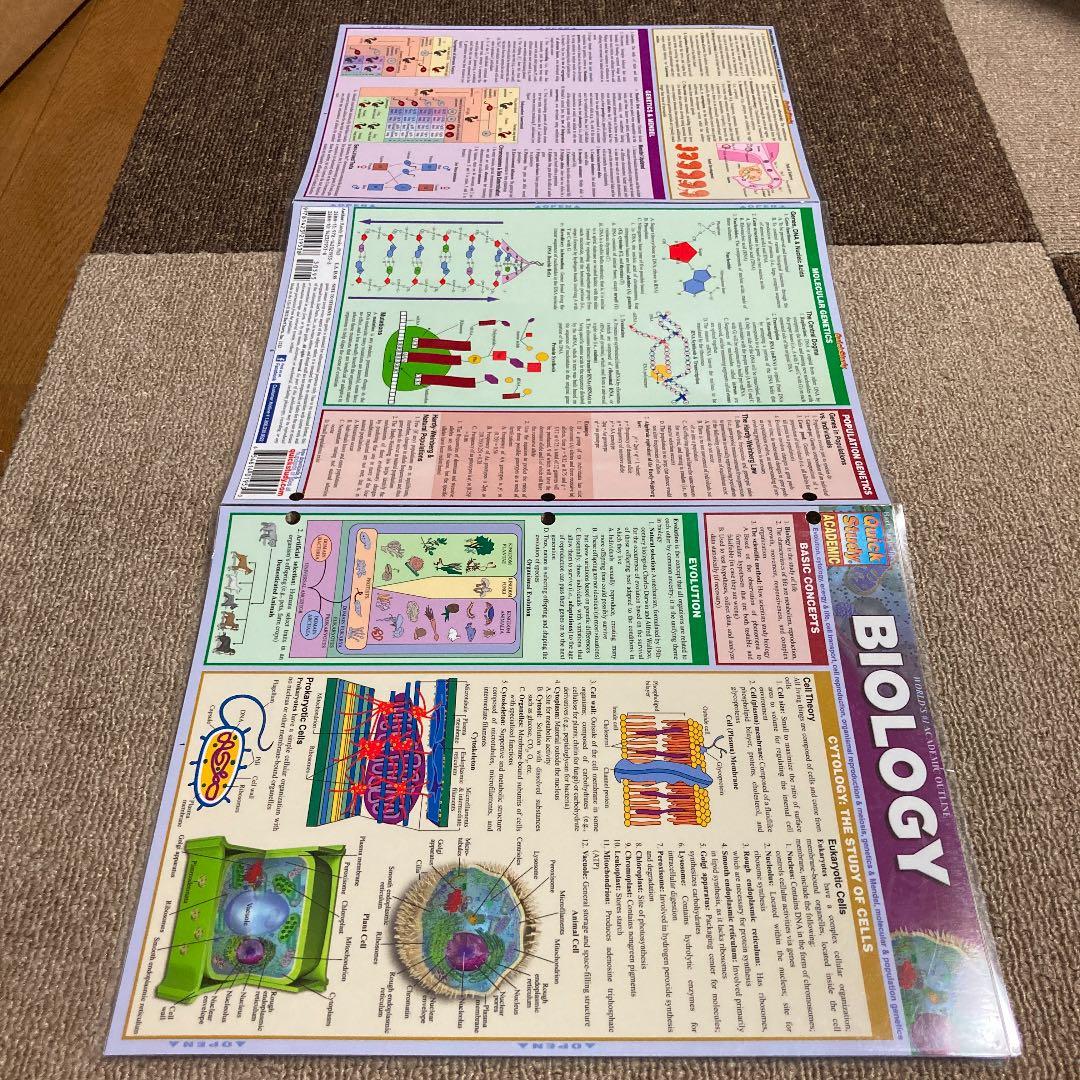 BIOLOGY Quick Study ACADEMIC 生物学