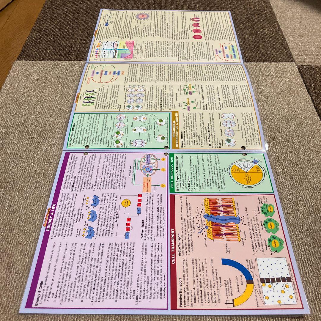 BIOLOGY Quick Study ACADEMIC 生物学