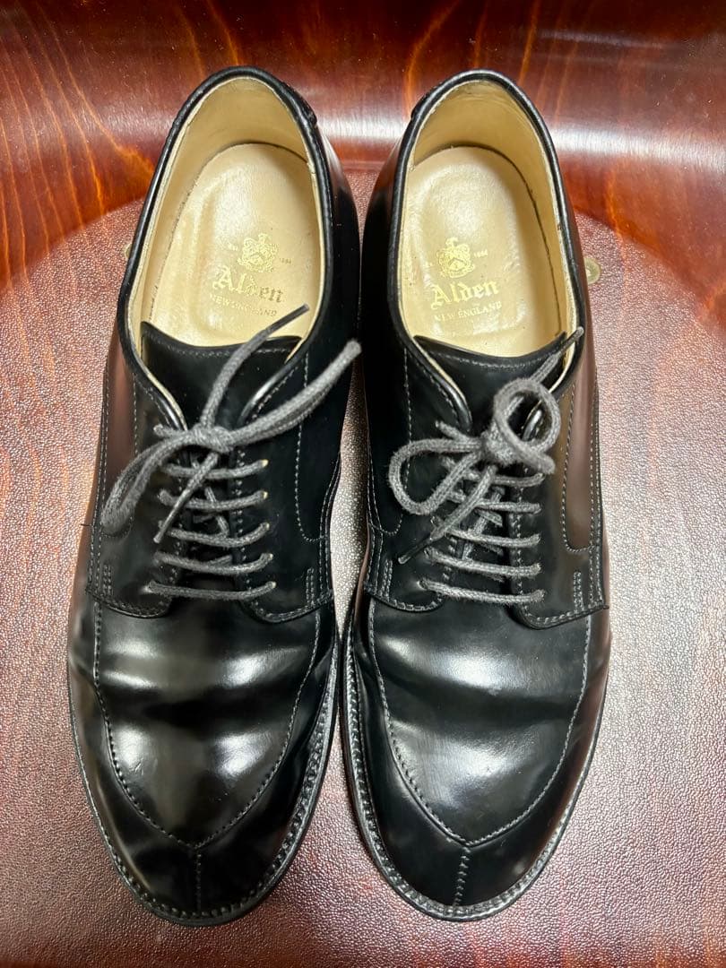 Alden オールデン 54331 コードバン Vチップ