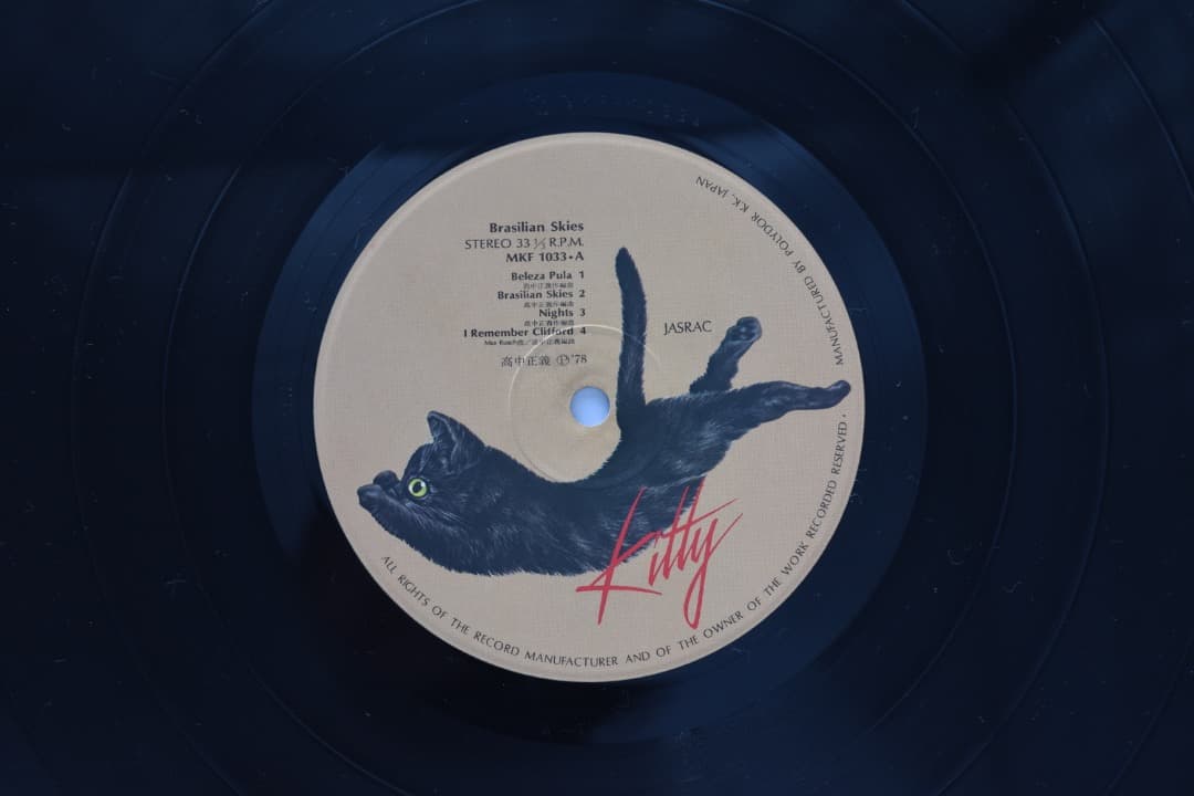 ブラジリアン・スカイズ / 高中正義 / LPレコード