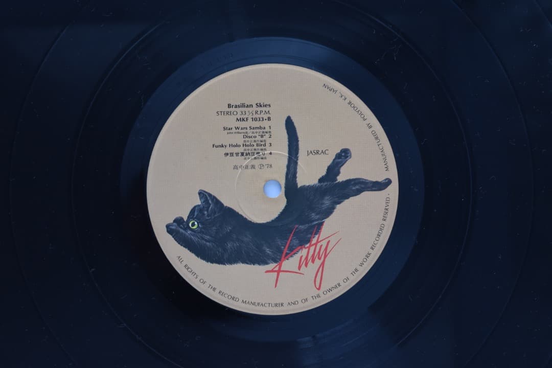 ブラジリアン・スカイズ / 高中正義 / LPレコード