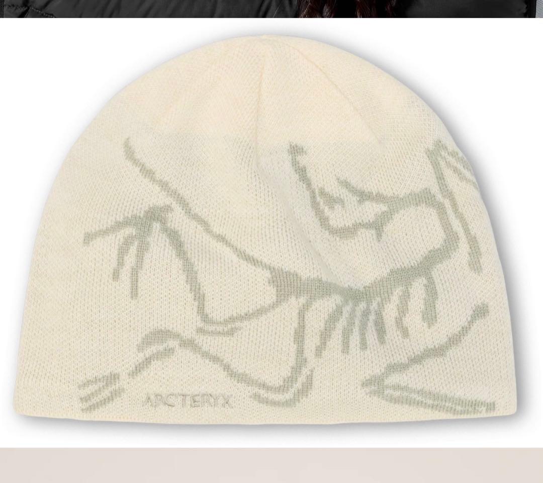 即購入可　Arc’terx ビーニー　直営店限定モデル