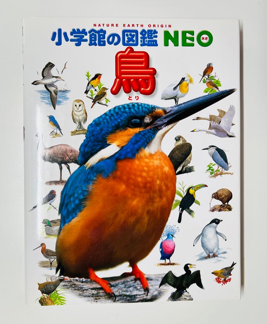 匿名発送　小学館の図鑑　NEO 20巻セット