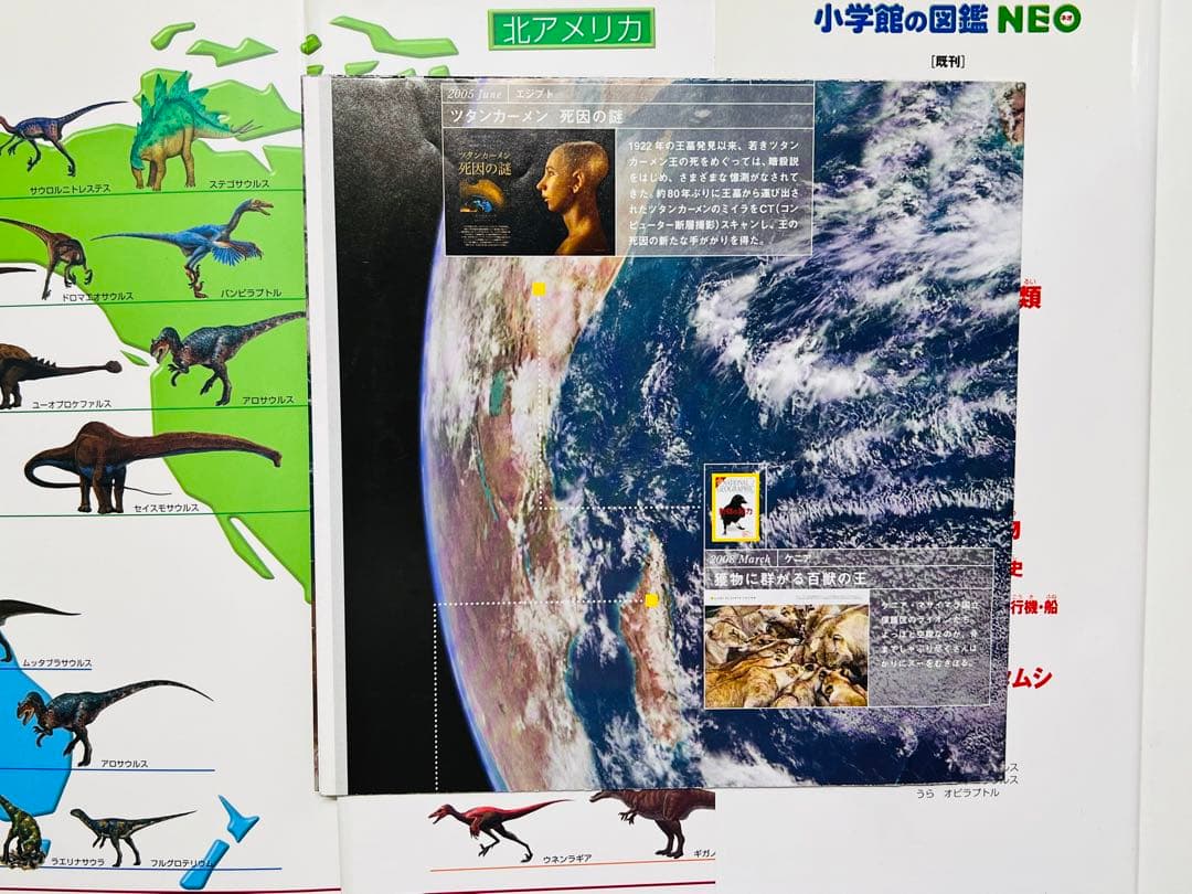 匿名発送　小学館の図鑑　NEO 20巻セット