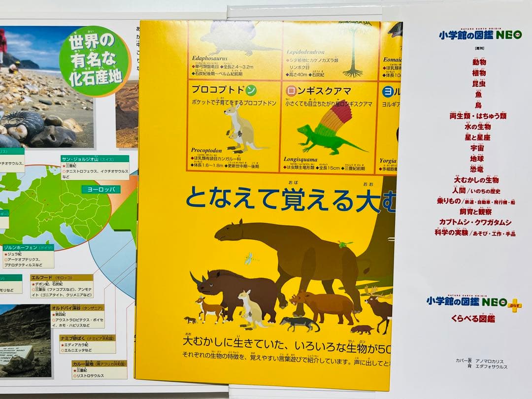 匿名発送　小学館の図鑑　NEO 20巻セット