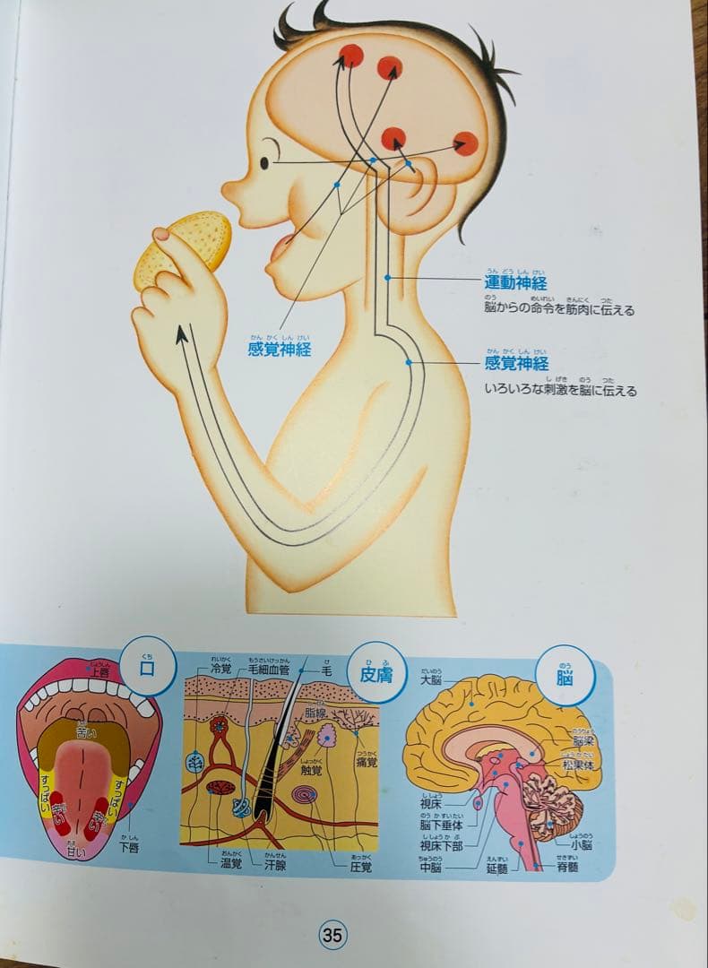 七田式 社会科ソング・理科ソング5冊セット　CD付き