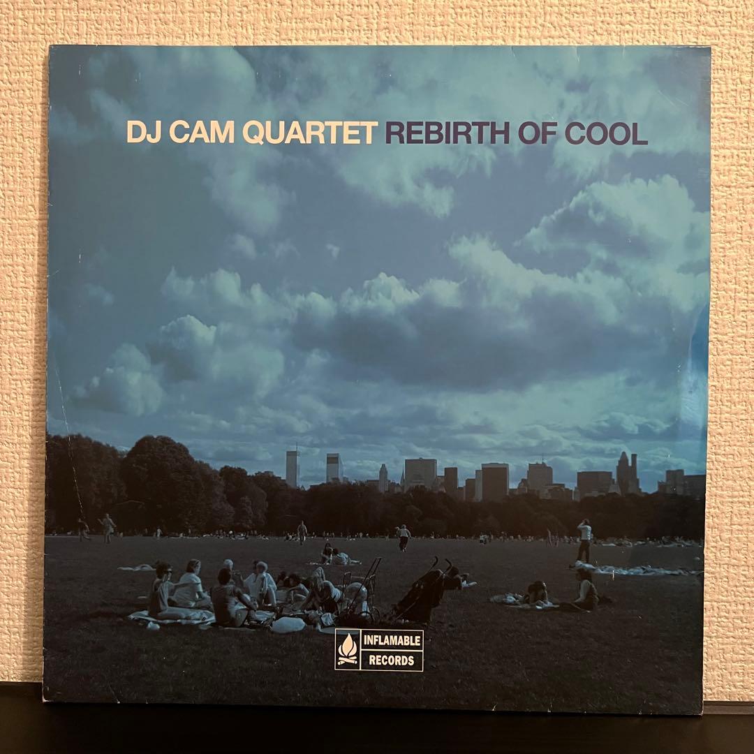 【12インチレコード】DJ CAM【ヒップホップ名盤】
