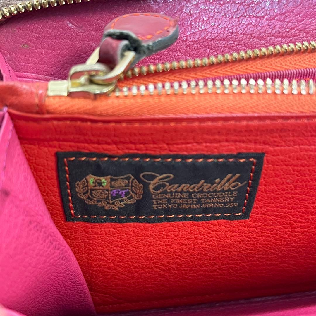 COVINILE チビナイル　クロコダイル　大容量　長財布　高級