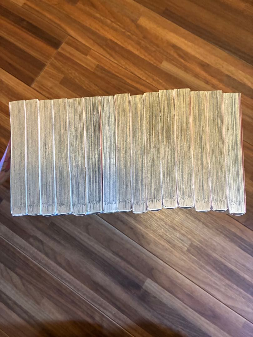 希少！全巻セット！花より男子Next Season花のち晴れ全15巻完結神尾葉子