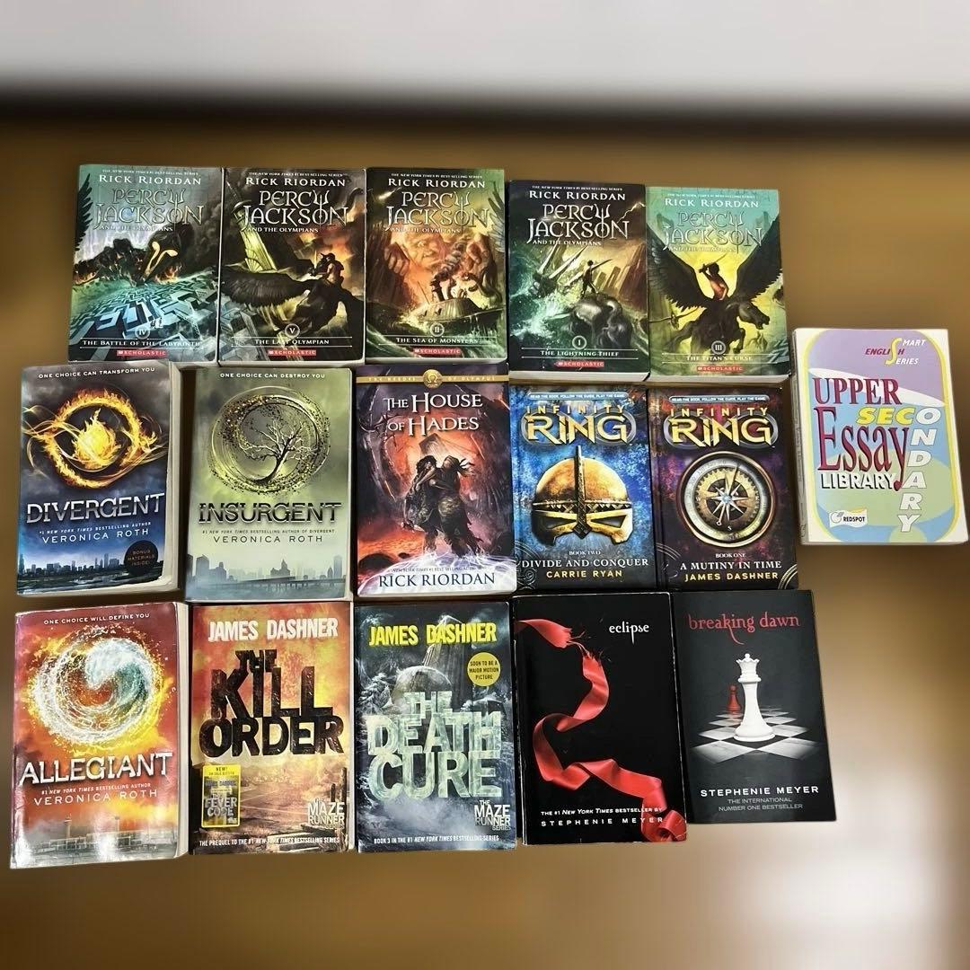 RIRI洋書セット 多様なタイトル 全16冊(写真の図書)10/13まで