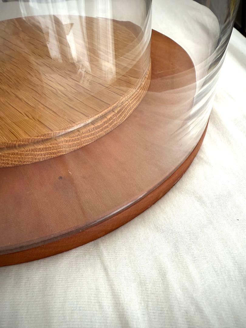 蠣崎マコト ケーキドーム大サイズ 未使用品