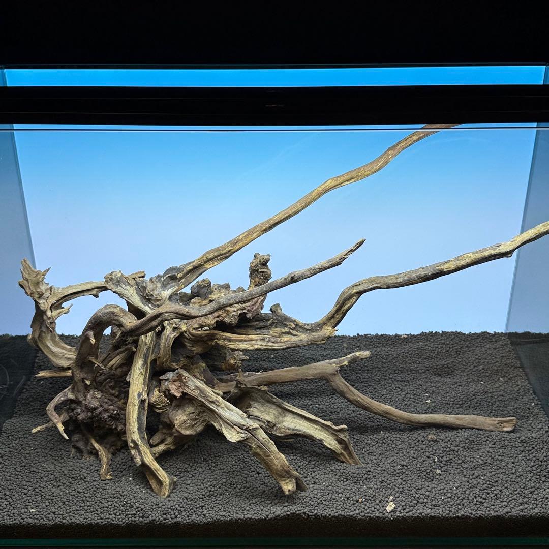 MSRW-7175スリムウッドレイアウトセット　60cm水槽用流木　アクアリウム