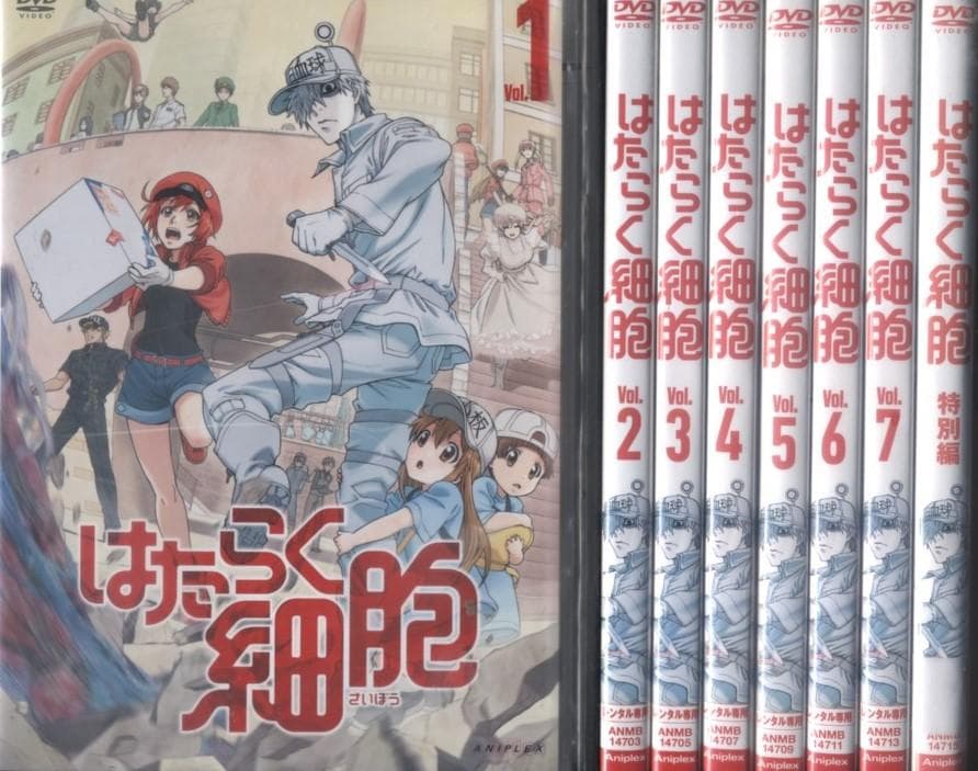 DVD はたらく細胞　全7巻＆特別編