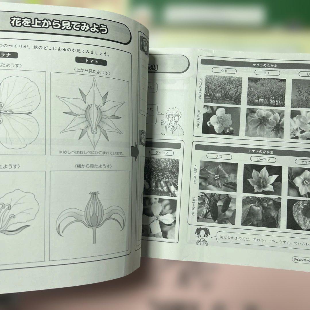 ㉓AＢ　希少美品❣️ サピックス　SAPIX 3年　理科　1年分　フルセット