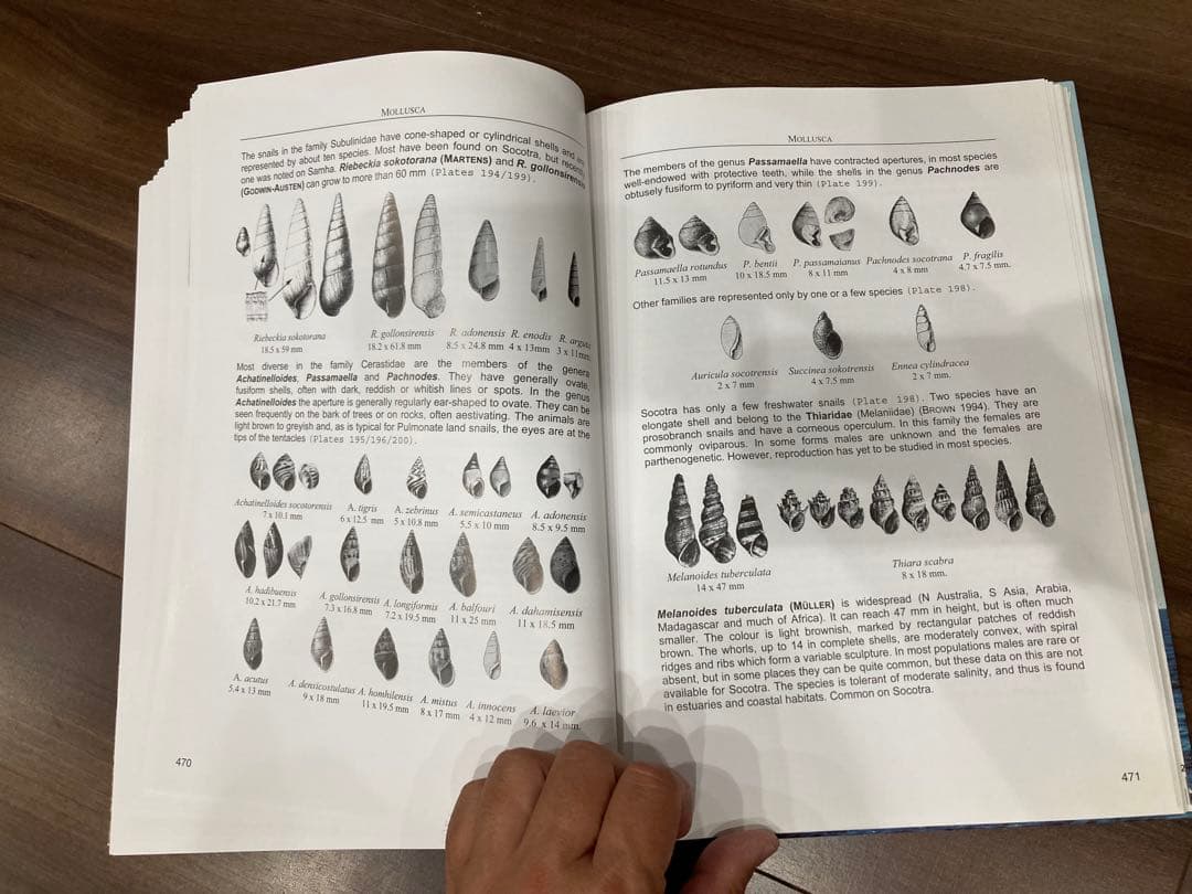 洋書 Fauna of the Socotra Archipelago Field