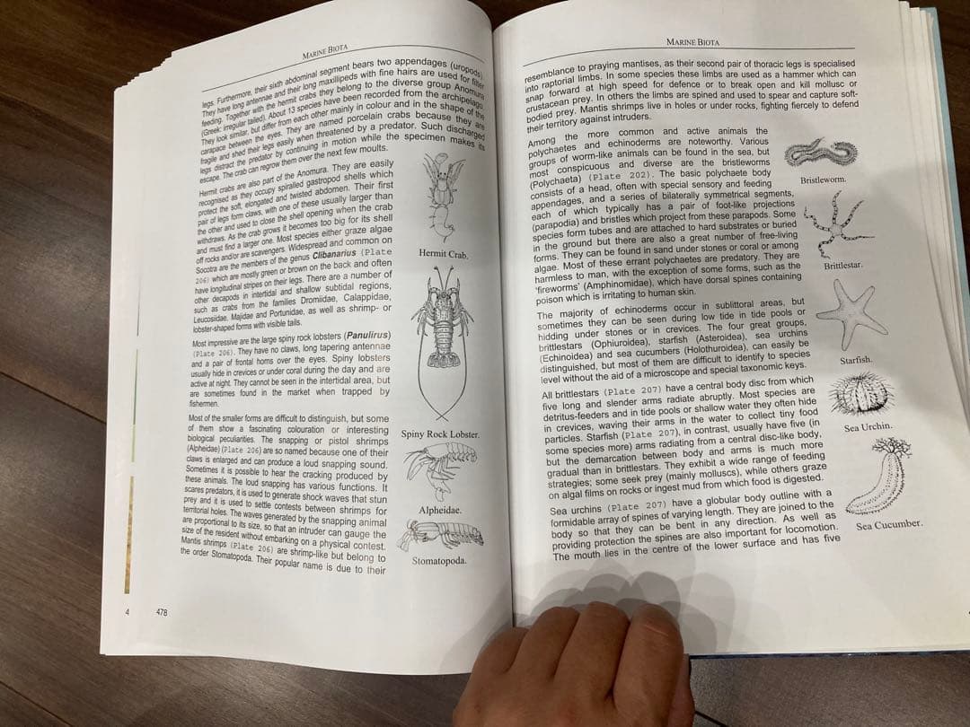 洋書 Fauna of the Socotra Archipelago Field