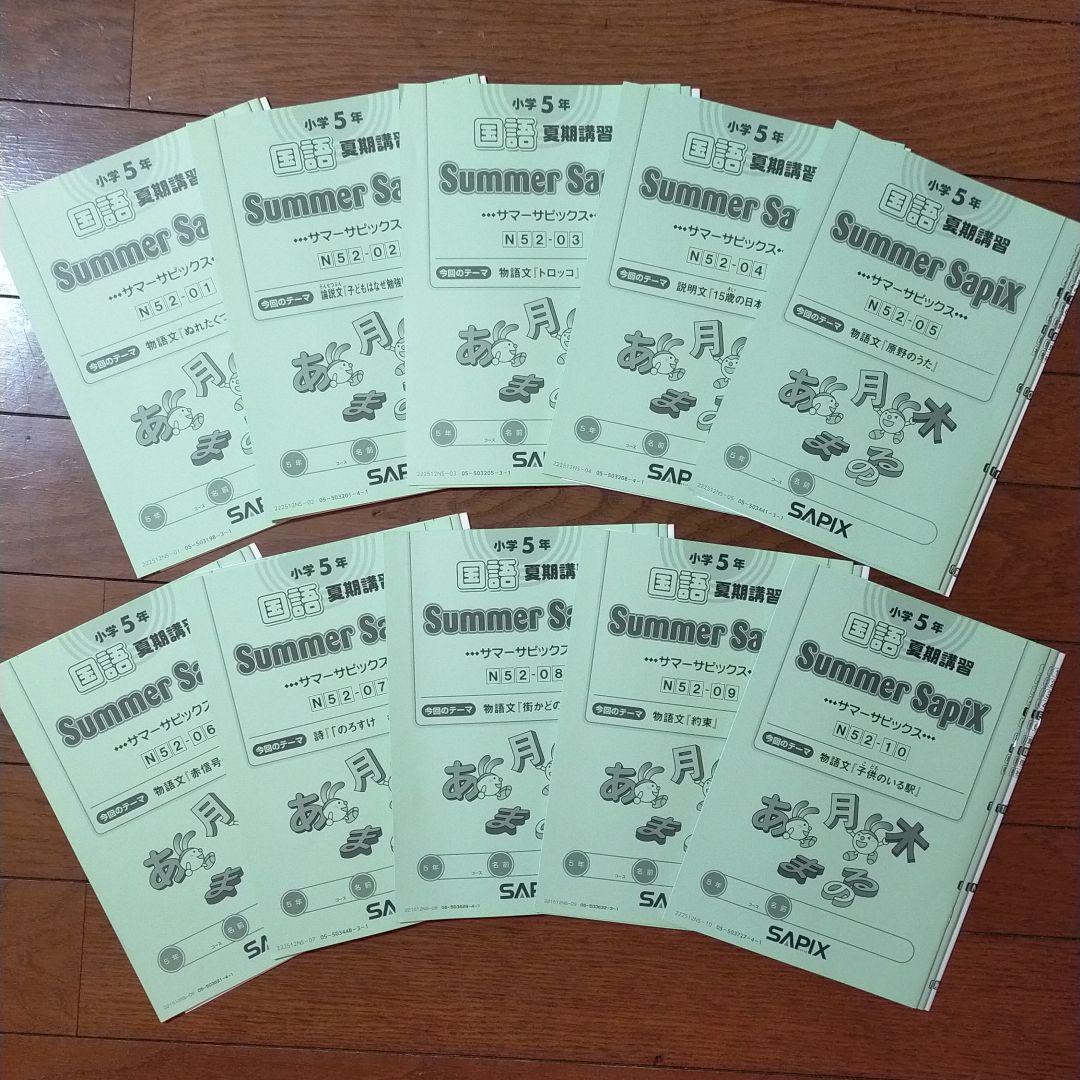 【最新版】サピックス 小学5年 国語 夏期講習テキスト全冊 解答解説付