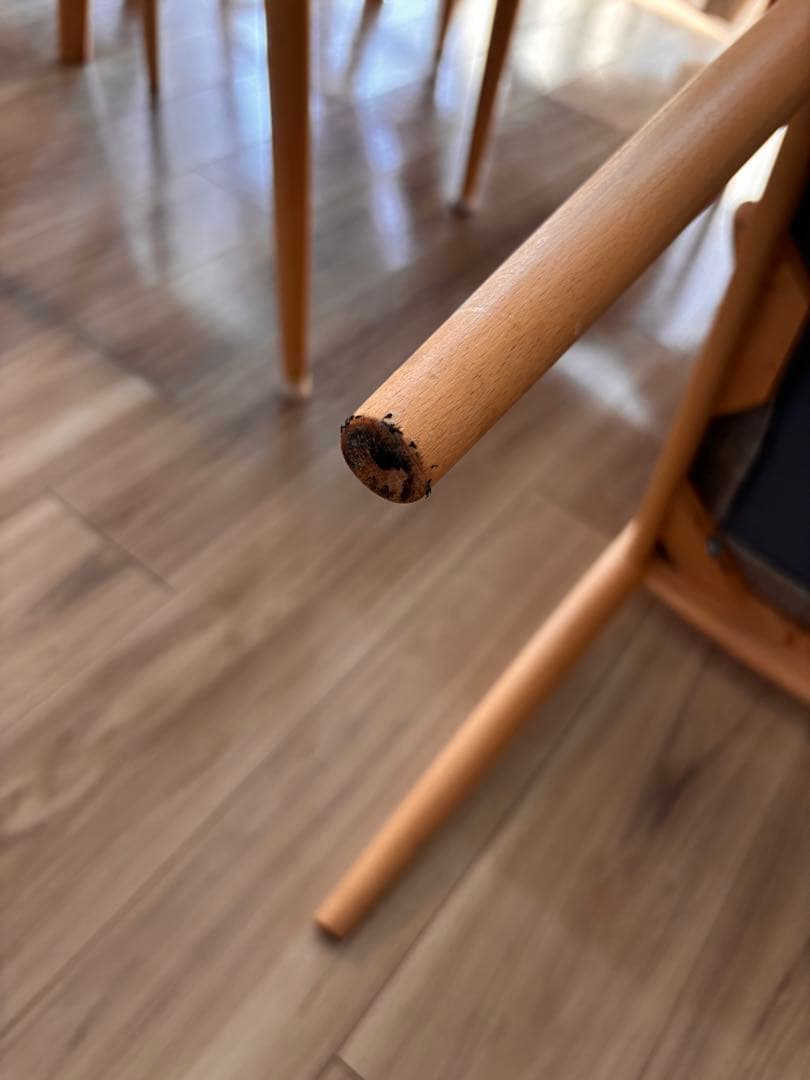 ニトリ　ダイニングチェアのみ　Nコレクション