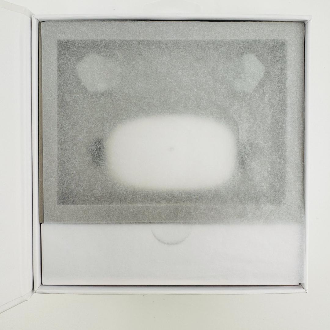 【ほぼ新品】 final ZE3000 for ASMR ワイヤレスイヤホン