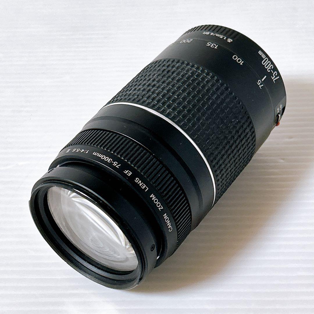 Canon EF 75-300㎜ 1:4-5.6Ⅲズームレンズ