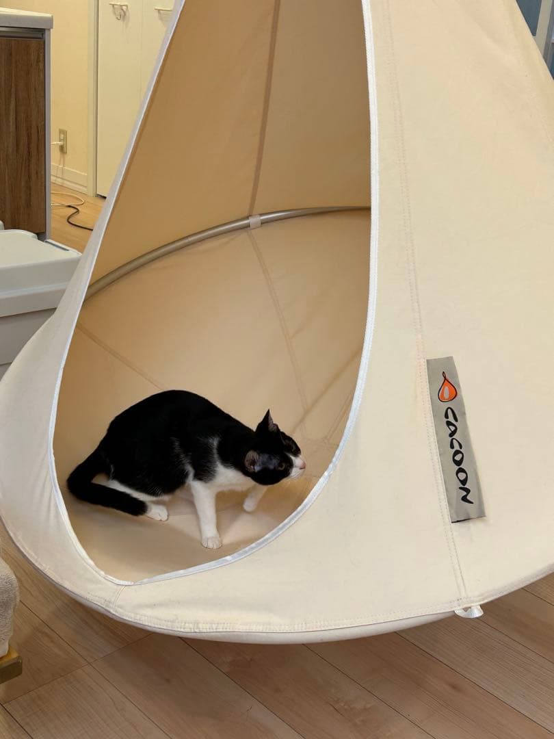 中古　Cacoon-bonsai-white ハンモックテント