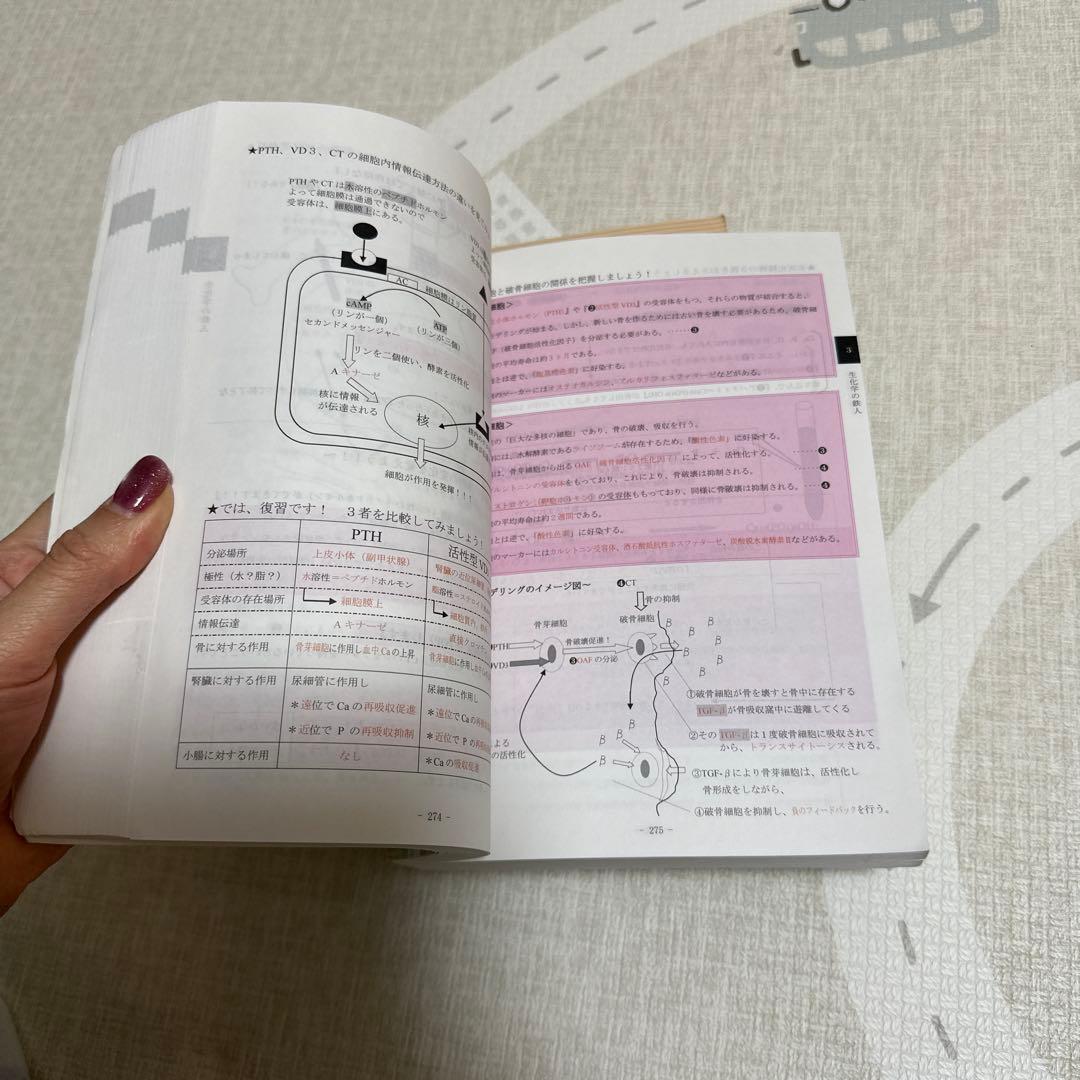 国試の鉄人　上下