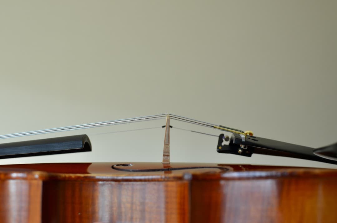 【銘器】R.Paesold No.804 バイオリン 4/4 1991年