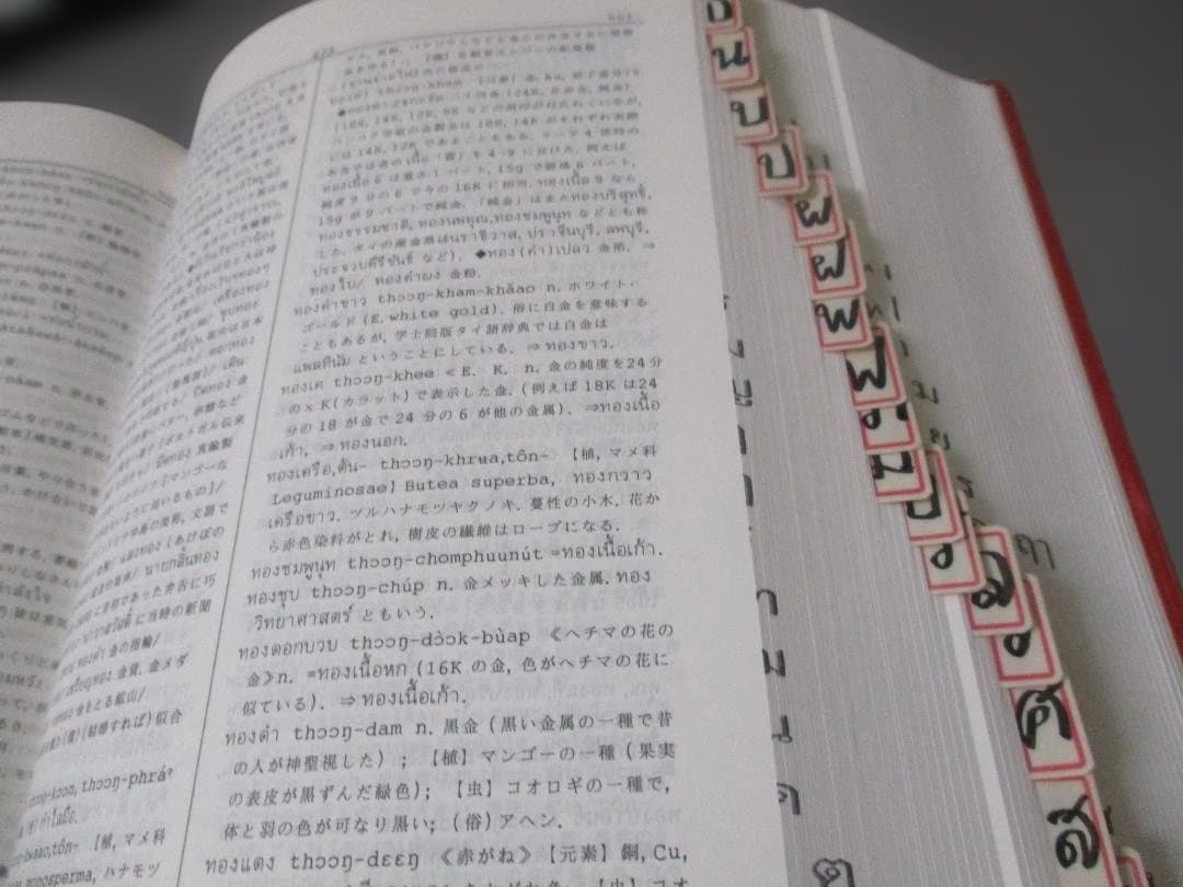 タイ日大辞典　タイ語　日本語　辞書